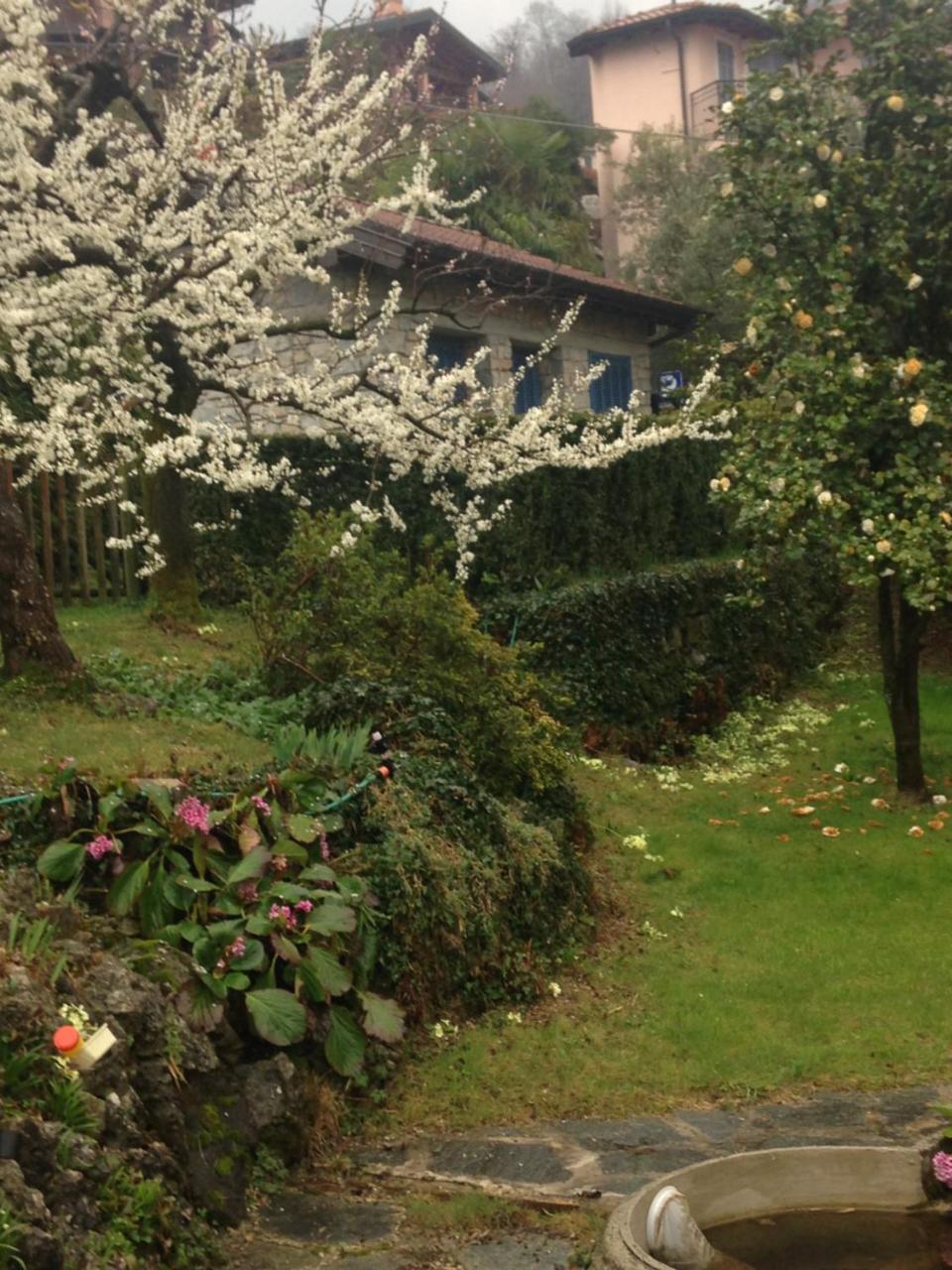 Villa Maria Lago Maggiore Reno Di Leggiuno Екстер'єр фото