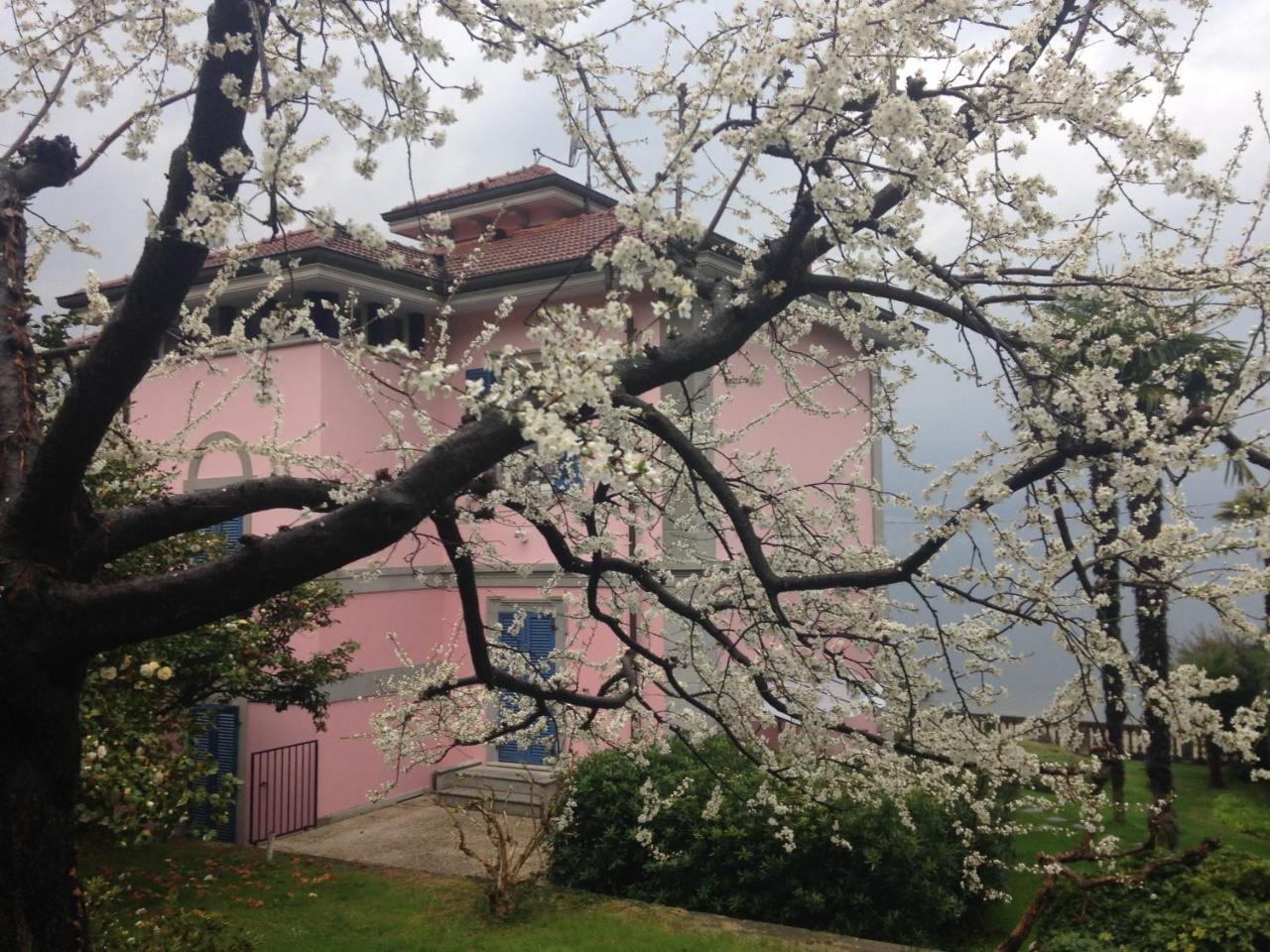 Villa Maria Lago Maggiore Reno Di Leggiuno Екстер'єр фото